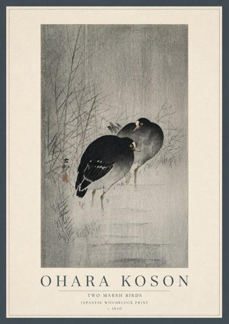 Ohara Koson Two Marsh Birds No5 - Póster
