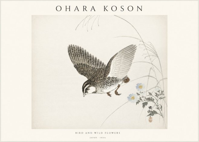 Ohara Koson Bird and Wild Flowers No1 - Póster