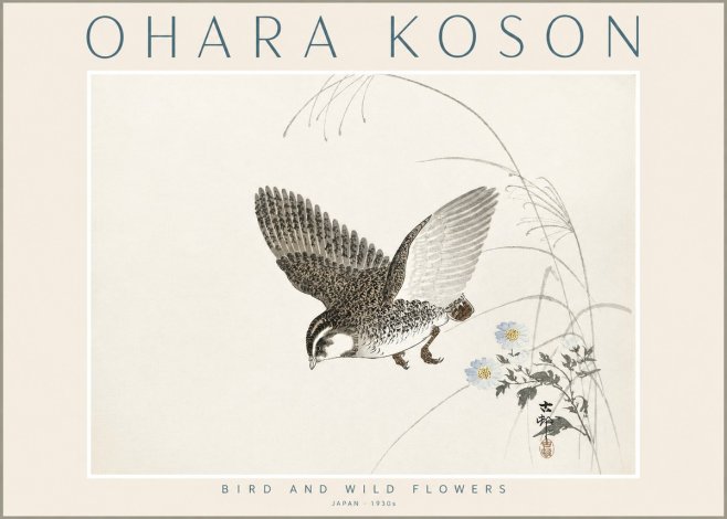 Ohara Koson Bird and Wild Flowers No2 - Póster