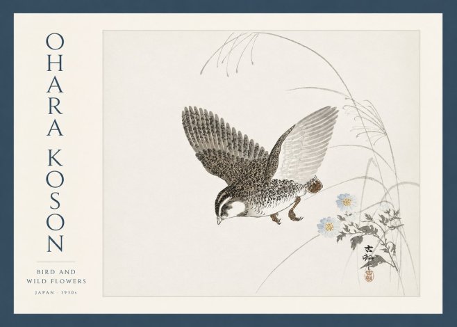 Ohara Koson Bird and Wild Flowers No3 - Póster
