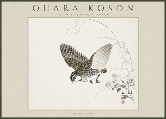 Ohara Koson Bird and Wild Flowers No4 - Póster