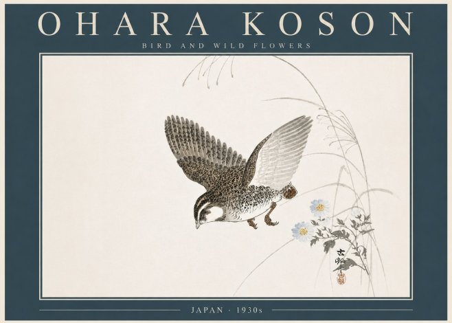 Ohara Koson Bird and Wild Flowers No5 - Póster