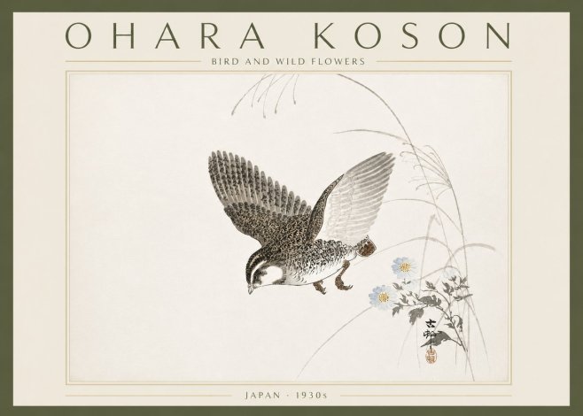 Ohara Koson Bird and Wild Flowers No6 - Póster
