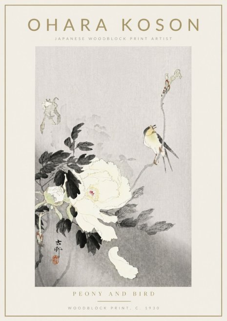 Ohara Koson Peony and Bird No4 - Póster