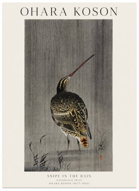 Ohara Koson Snipe in the Rain No1 - Póster