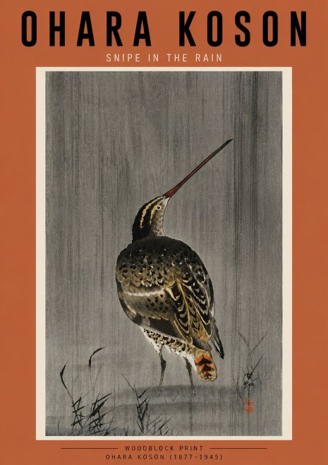 Ohara Koson Snipe in the Rain No5 - Póster