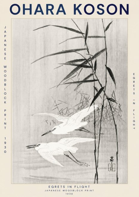 Ohara Koson Two Herons and Reeds No3 - Póster