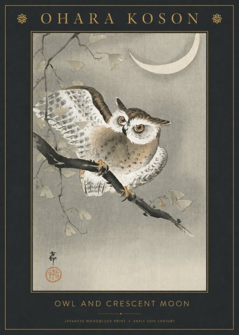 Ohara Koson Owl and Crescent Moon No3 - Póster