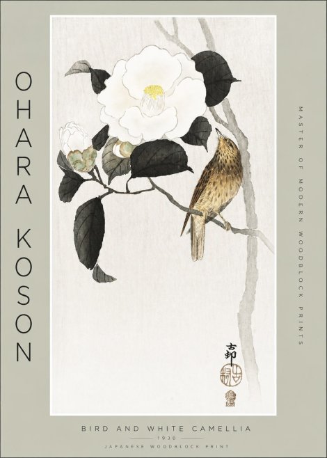 Ohara Koson Bird and White Camellia No2 - Póster