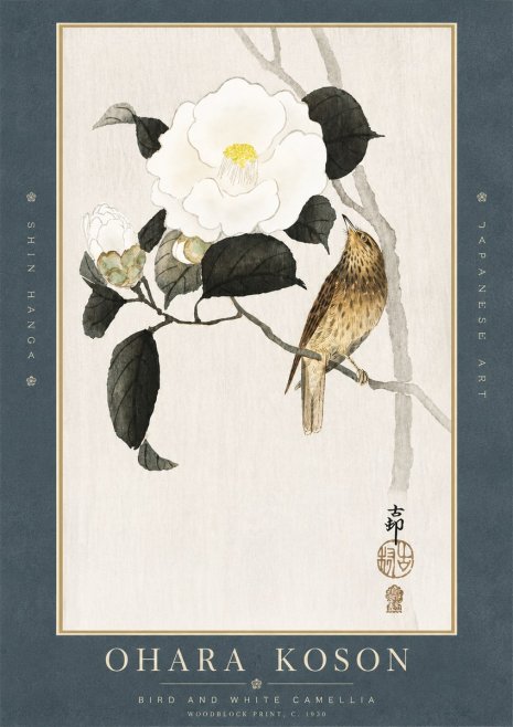Ohara Koson Bird and White Camellia No3 - Póster