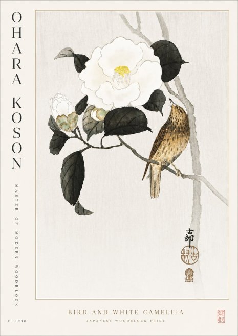 Ohara Koson Bird and White Camellia No5 - Póster