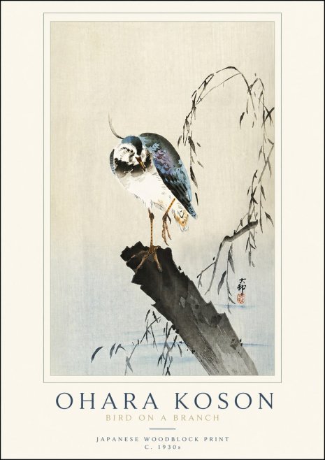 Ohara Koson Bird on a Branch III No3 - Póster