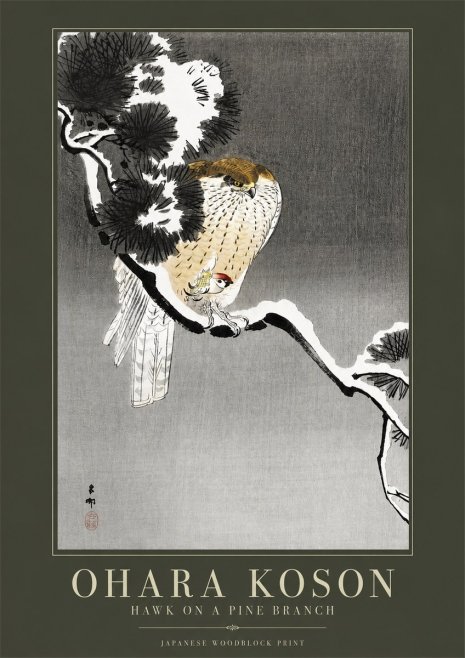 Ohara Koson Hawk on a Pine Branch No2 - Póster