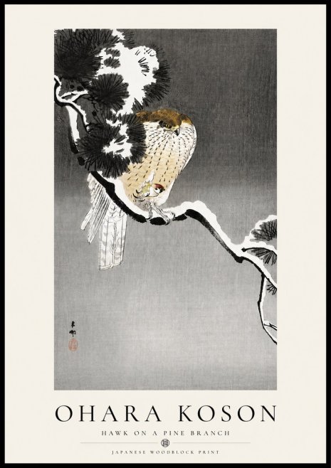 Ohara Koson Hawk on a Pine Branch No4 - Póster