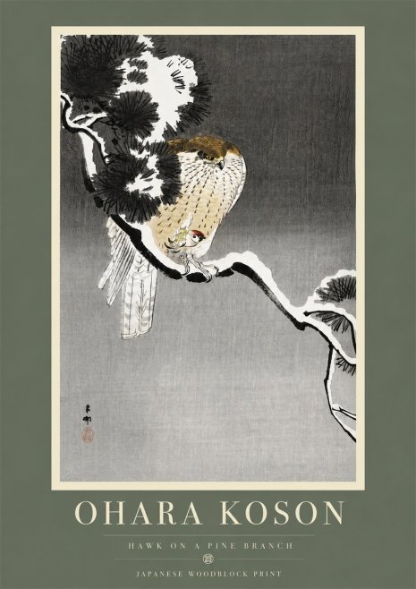 Ohara Koson Hawk on a Pine Branch No5 - Póster