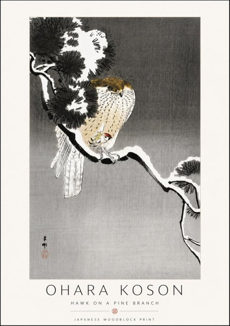 Ohara Koson Hawk on a Pine Branch No6 - Póster