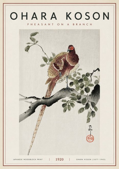 Ohara Koson Pheasant on a Branch No6 - Póster