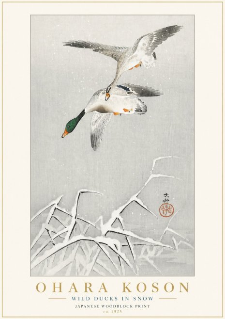 Ohara Koson Wild Ducks in Snow No3 - Póster