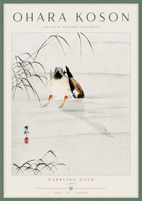 Ohara Koson Dabbling Duck No5 - Póster
