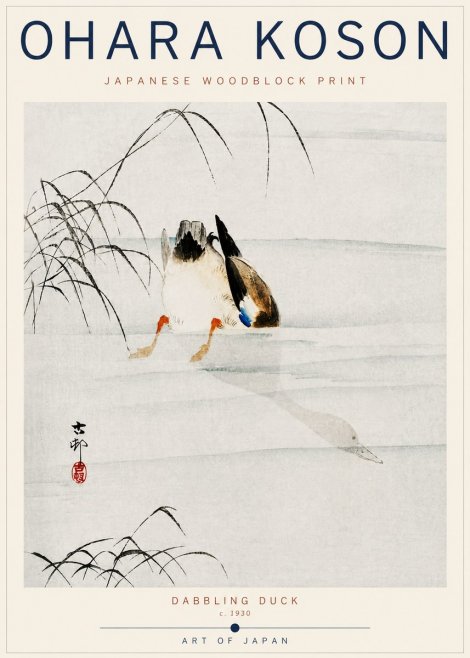 Ohara Koson Dabbling Duck No6 - Póster
