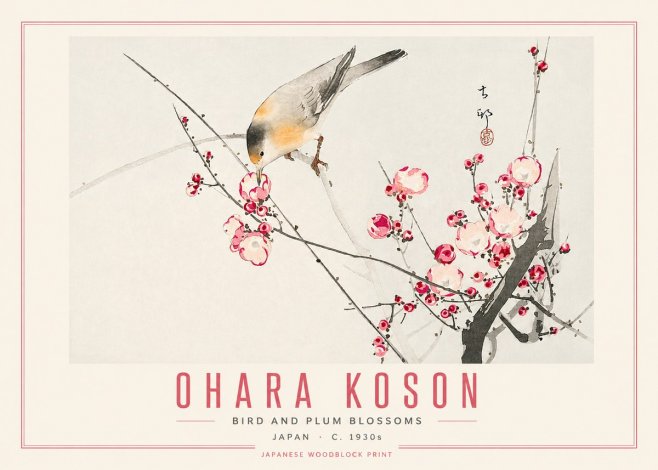 Ohara Koson Bird and Plum Blossoms No5 - Póster