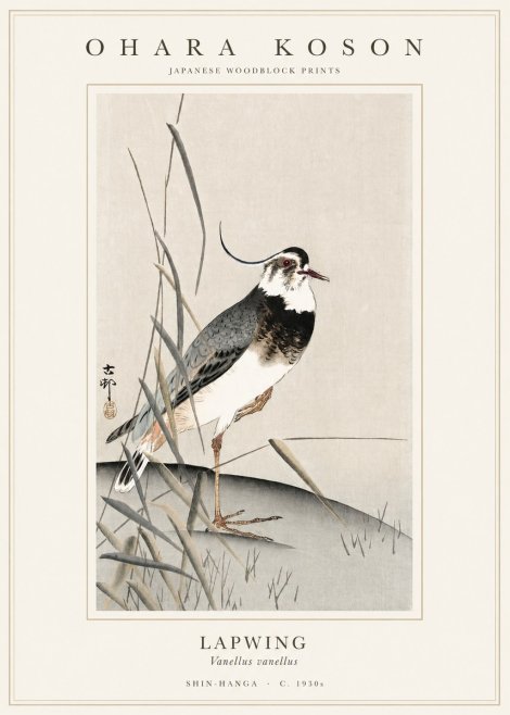 Ohara Koson Lapwing No1 - Póster