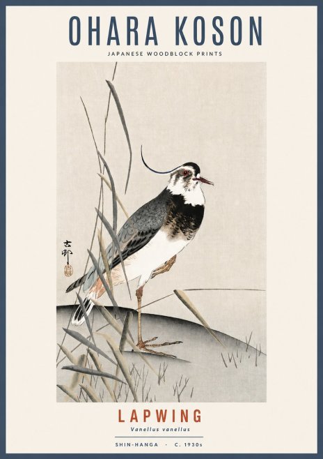 Ohara Koson Lapwing No2 - Póster