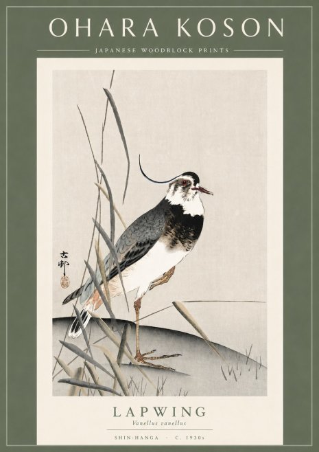Ohara Koson Lapwing No3 - Póster
