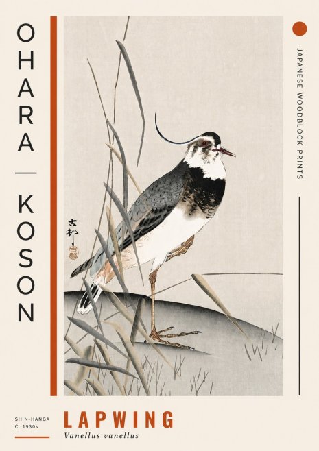 Ohara Koson Lapwing No4 - Póster