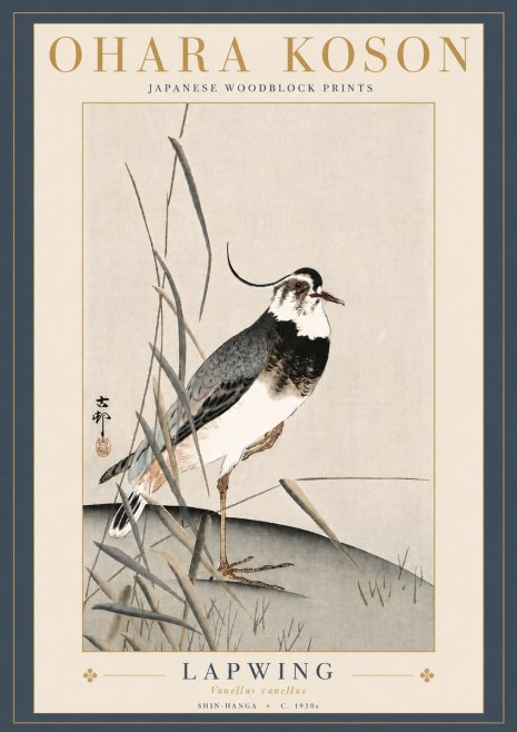 Ohara Koson Lapwing No5 - Póster