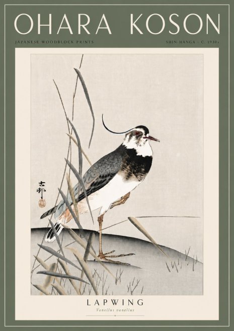Ohara Koson Lapwing No6 - Póster