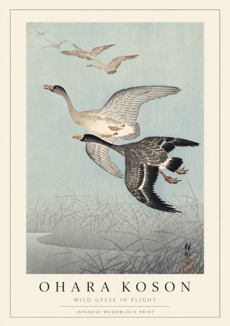 Ohara Koson Wild Geese in Flight II No3 - Póster
