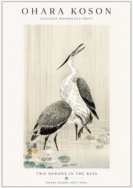Ohara Koson Two Herons in the Rain No6 - Póster