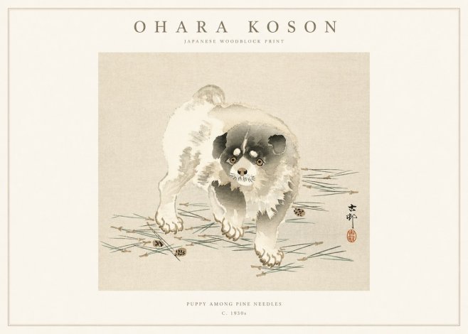 Ohara Koson Puppy Among Pine Needles No1 - Póster