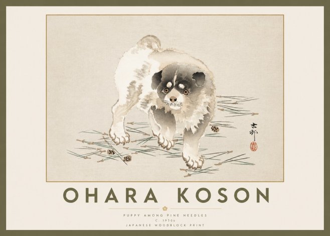 Ohara Koson Puppy Among Pine Needles No2 - Póster