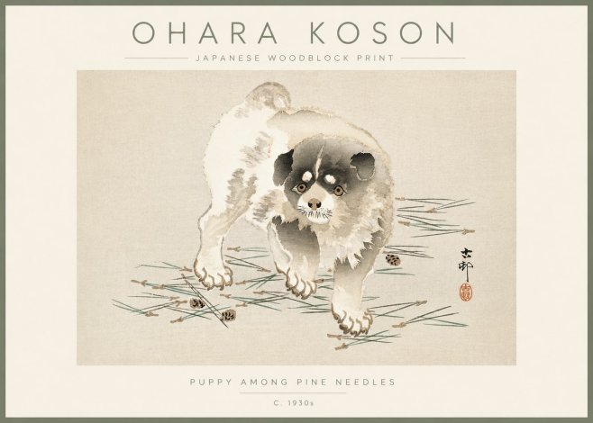 Ohara Koson Puppy Among Pine Needles No3 - Póster