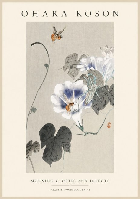 Ohara Koson Morning Glories and Insects No1 - Póster