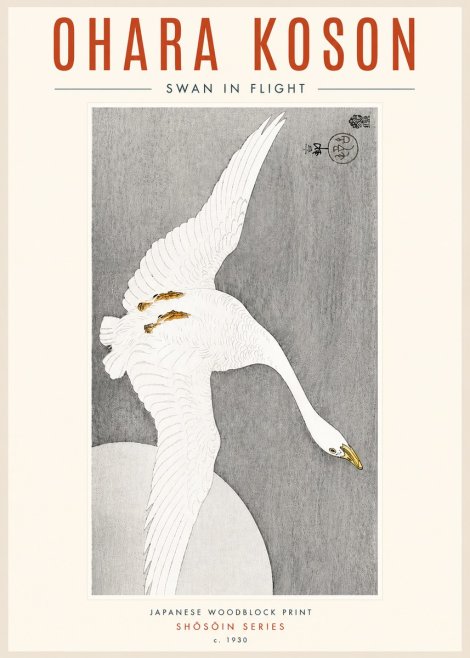 Ohara Koson Swan in Flight No4 - Póster