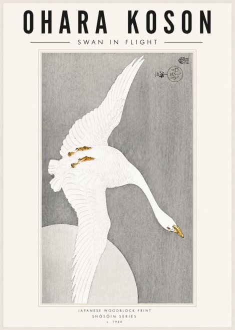 Ohara Koson Swan in Flight No5 - Póster