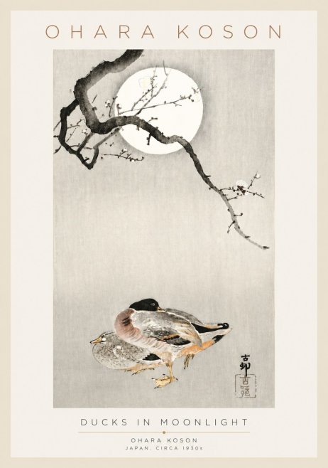 Ohara Koson Ducks in Moonlight No3 - Póster