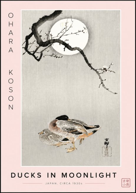 Ohara Koson Ducks in Moonlight No6 - Póster