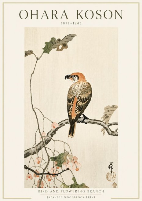 Ohara Koson Bird and Flowering Branch No5 - Póster