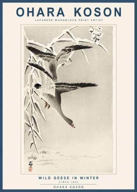 Ohara Koson Wild Geese in Winter No3 - Póster