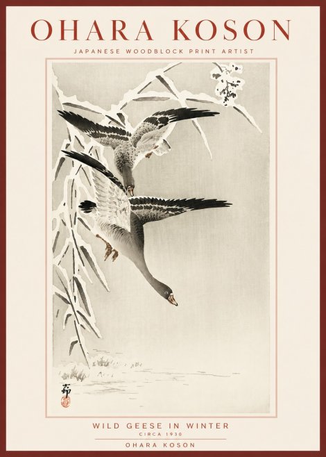 Ohara Koson Wild Geese in Winter No5 - Póster