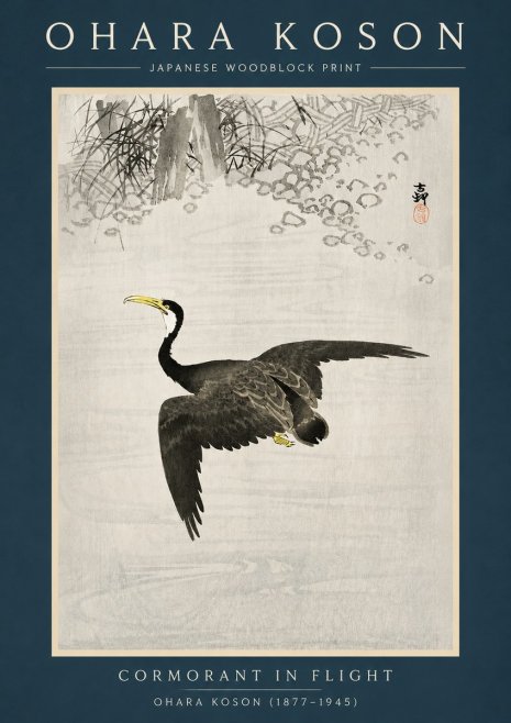 Ohara Koson Cormorant in Flight No2 - Póster