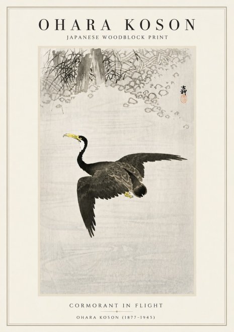 Ohara Koson Cormorant in Flight No5 - Póster