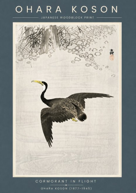 Ohara Koson Cormorant in Flight No6 - Póster