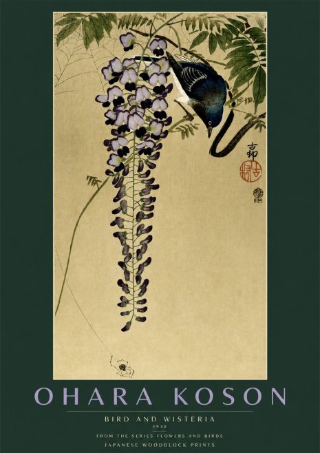 Ohara Koson Bird and Wisteria No2 - Póster
