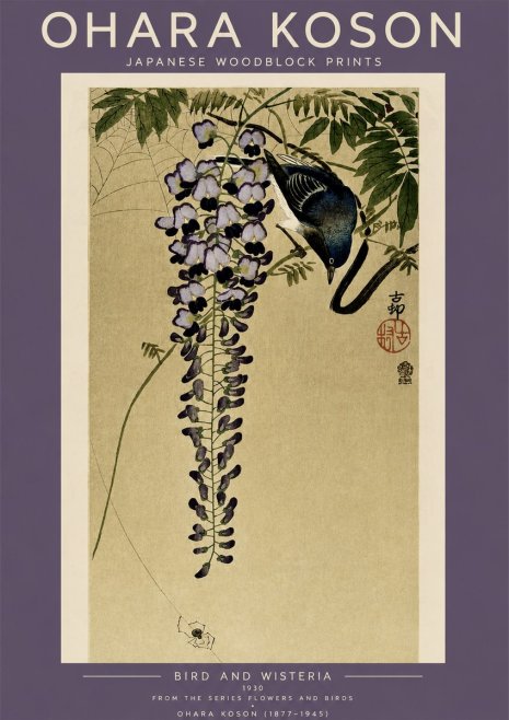 Ohara Koson Bird and Wisteria No4 - Póster