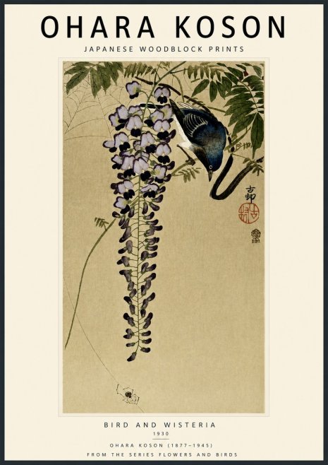 Ohara Koson Bird and Wisteria No5 - Póster